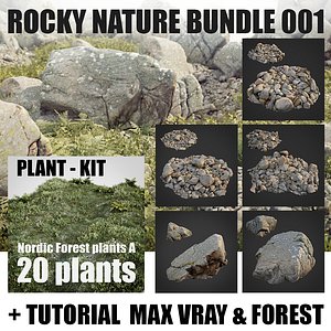 rocky nature 001 rocks 3D model