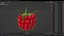 Red Ripe Raspberry