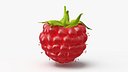 Red Ripe Raspberry