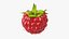 Red Ripe Raspberry