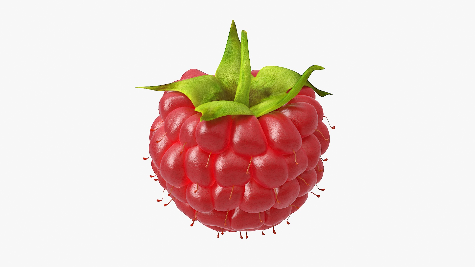 3D Red Ripe Raspberry Model - TurboSquid 2322240