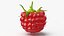 Red Ripe Raspberry
