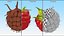 Red Ripe Raspberry
