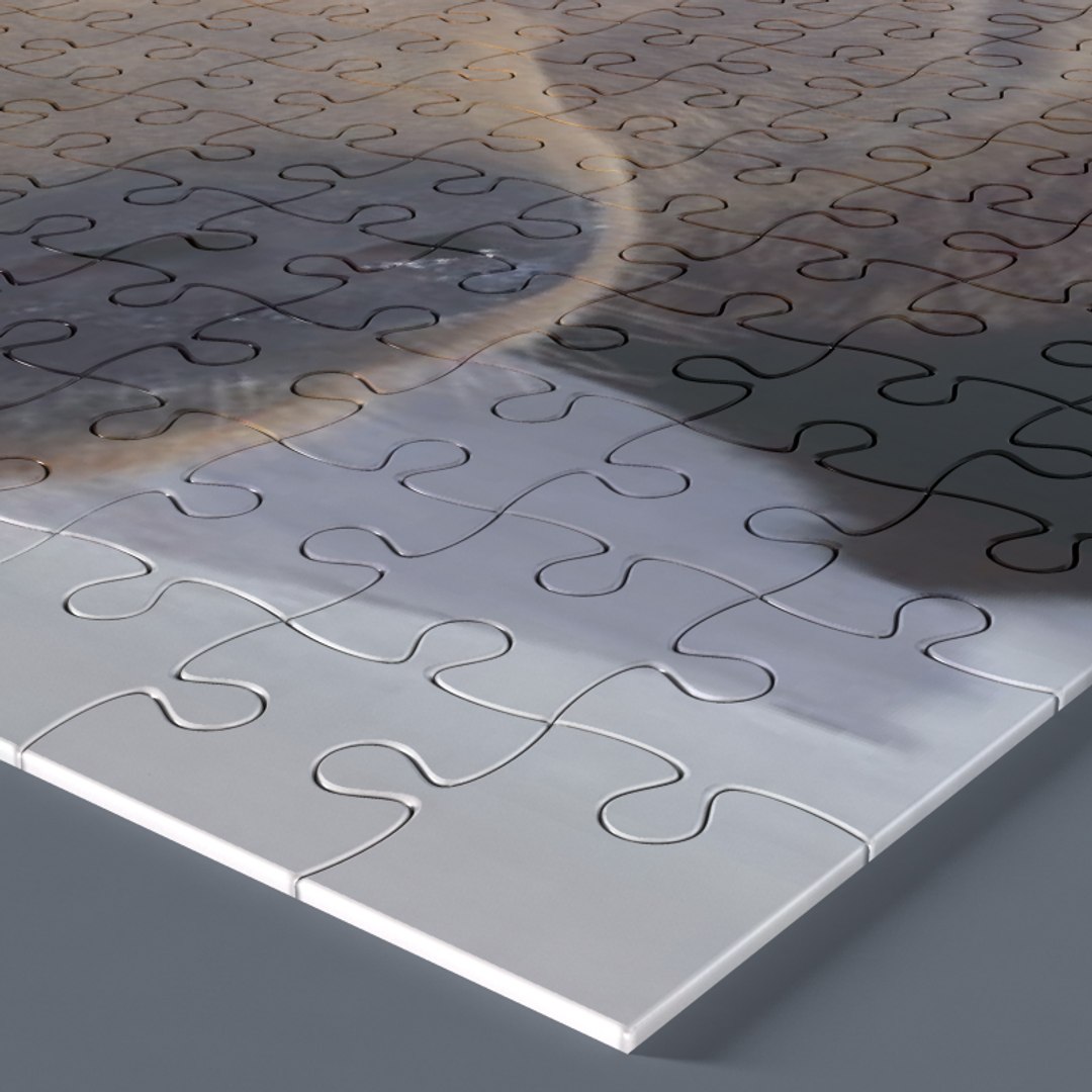 3d pieces model https://p.turbosquid.com/ts-thumb/p2/A5rtC4/y4gGEOvB/puzzle04/jpg/1323429849/1920x1080/fit_q87/add93025f57675deba14c1ca3de7b496aad7c562/puzzle04.jpg