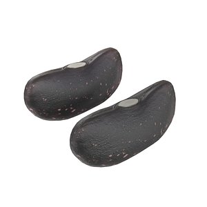 3D Black dry kidney beans