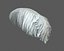 Ostrich Feather