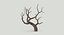 Bare Desert Tree 02 Low Poly