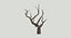 Bare Desert Tree 02 Low Poly