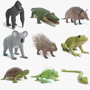 Cartoon Animal Collection 7