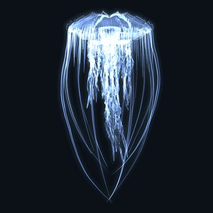 Animated jellyfish