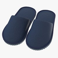 House Slippers 01