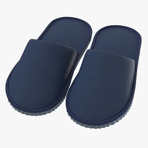 House Slippers 01