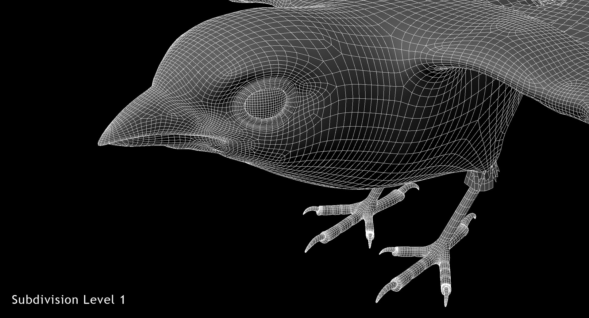 3D house sparrow animation model https://p.turbosquid.com/ts-thumb/p2/YFdknV/4cTfHjlg/w6/jpg/1551232818/1920x1080/fit_q87/e362cea0e76315b8f3e5a4bf738db041b36dc5a1/w6.jpg