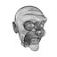 Alter Mann Cartoon Kopf