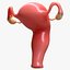 Female Reproductive System