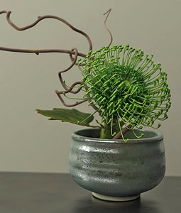 3D green protea ikebana ceramic model