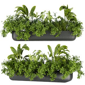 Collection plant vol 325 - indoor - banana - cinema 4d - 3dmax
