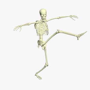 3D Skeleton Can Can Dance model