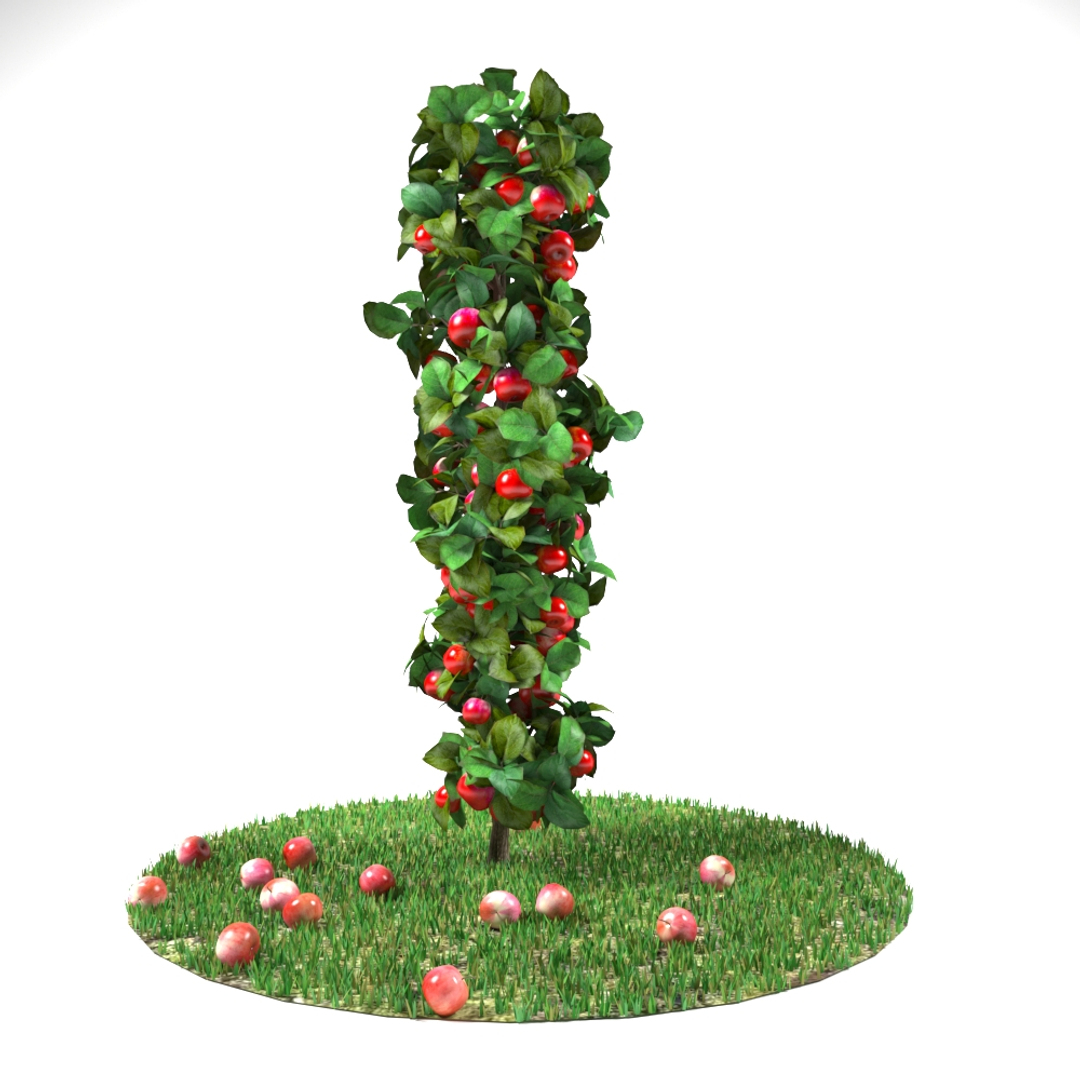 3D модель колонна яблоня с травой малус - TurboSquid 1195293