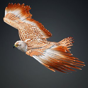Eagle-V2E 3D model