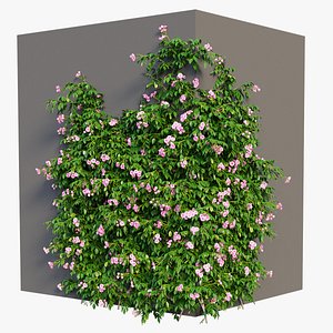 plant set 36 3D model