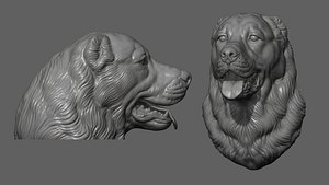 3D model Central Asian Shepherd Dog Alabai bust