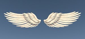 3d wings character feathers model
