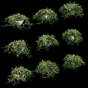 3D ivy pots table chest model