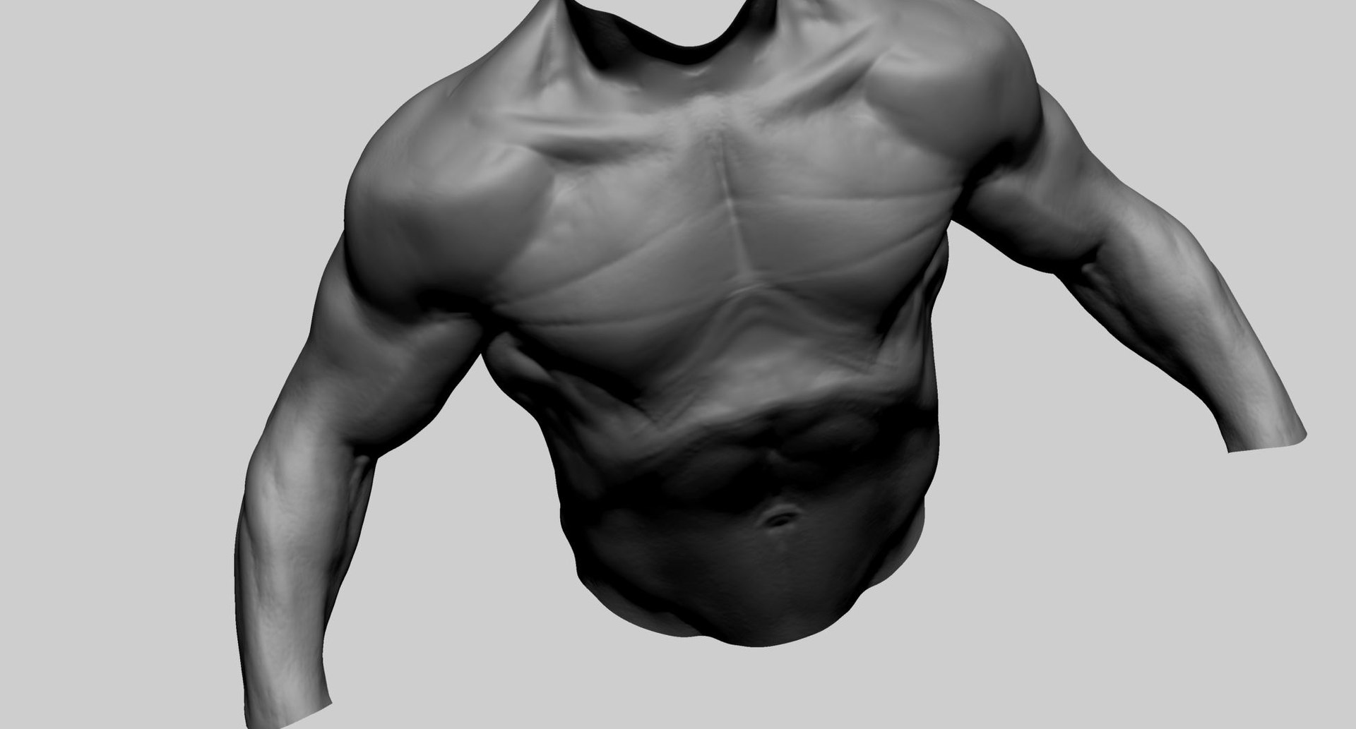 Male Torso B 3D - TurboSquid 1937935