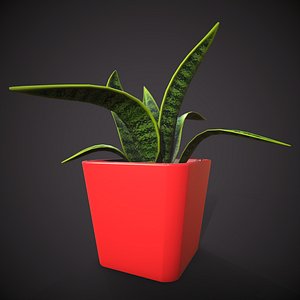 3D small houseplant