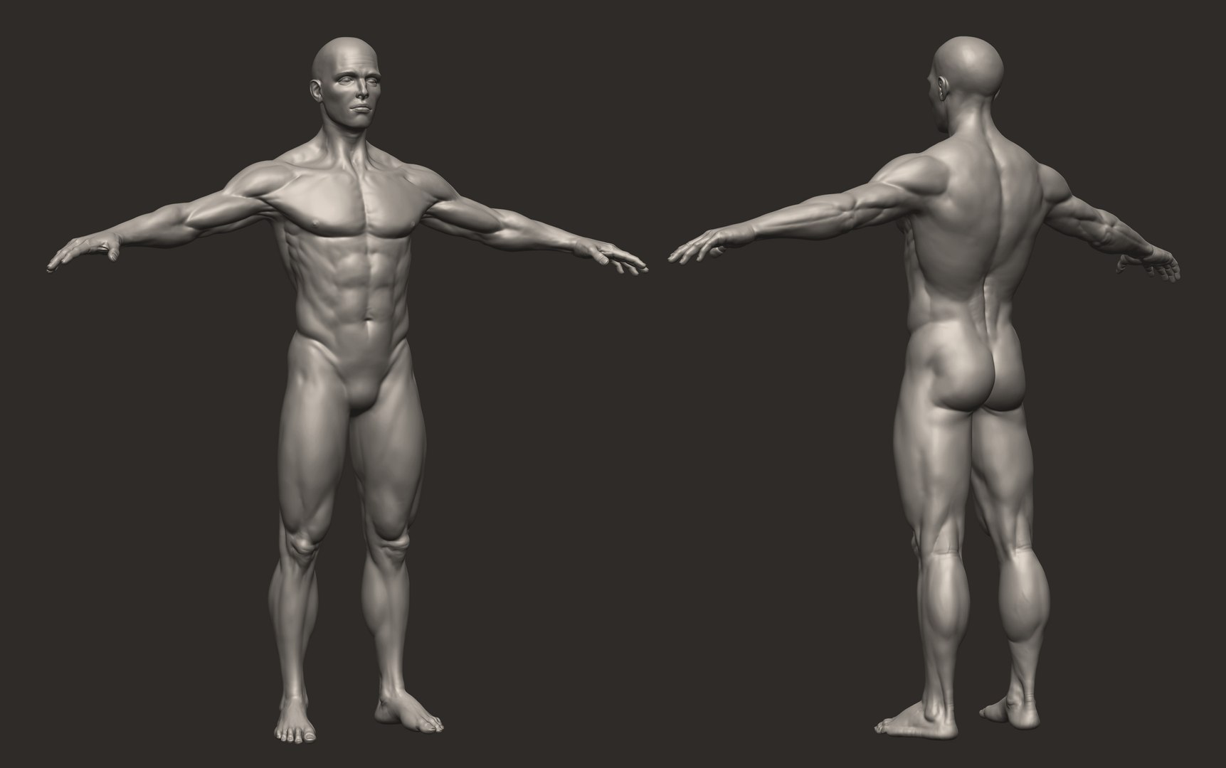 3d model of male anatomy 4r4 p2 https://p.turbosquid.com/ts-thumb/p3/jFPwJe/4Ph1TqXu/male_anatomystudy1/jpg/1347023092/1920x1080/fit_q87/74d85e43a500c1e6e93f1191c2c9850d5f8f7190/male_anatomystudy1.jpg