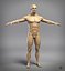 Male Anatomy - ZB 4R4 P2