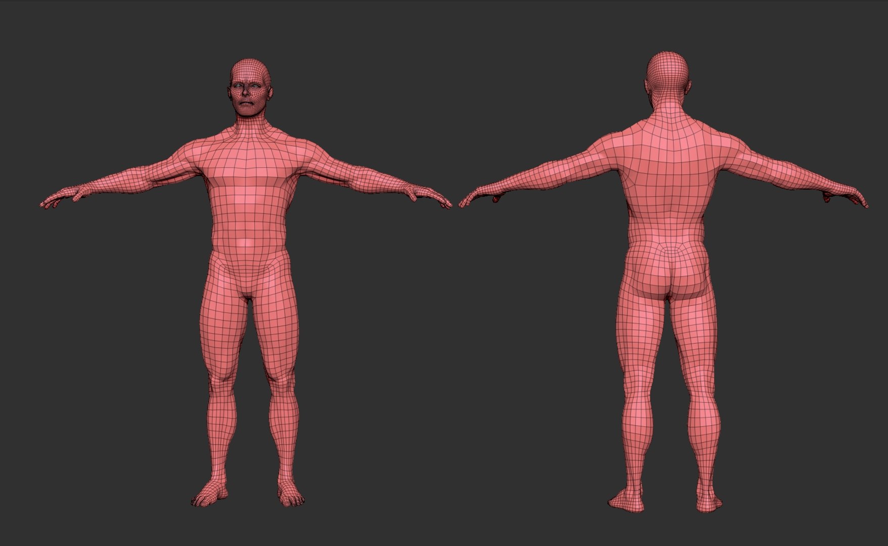 3d model of male anatomy 4r4 p2 https://p.turbosquid.com/ts-thumb/p3/jFPwJe/I4YpWQOR/male_anatomystudy_wire/jpg/1347023150/1920x1080/fit_q87/9a8c5a0195f786ed3b7860d72d01c0f593a7e20a/male_anatomystudy_wire.jpg
