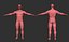 Male Anatomy - ZB 4R4 P2