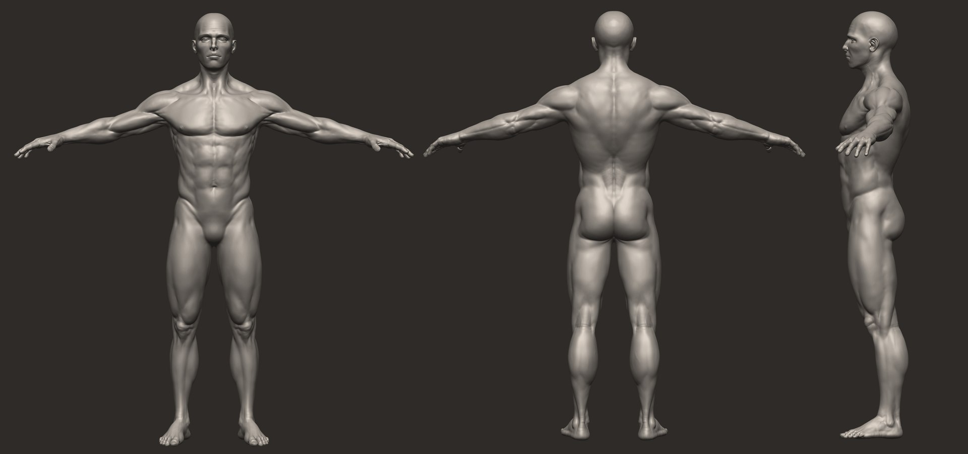 3d model of male anatomy 4r4 p2 https://p.turbosquid.com/ts-thumb/p3/jFPwJe/aPmIxIUM/male_anatomystudy2/jpg/1347023105/1920x1080/fit_q87/09a10002caa899242e76e22ee5c24db4b6e996e9/male_anatomystudy2.jpg