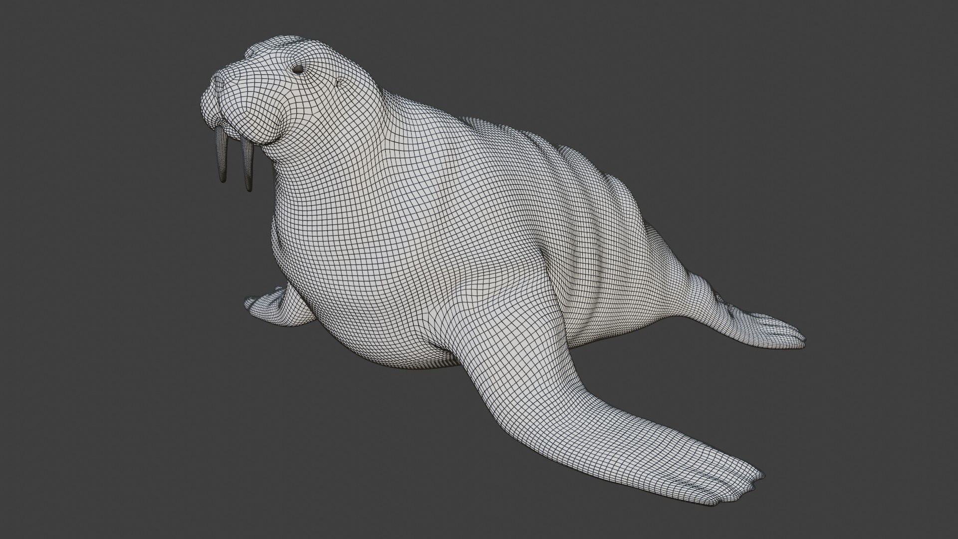 Walrus Rigged 3D - TurboSquid 1679717