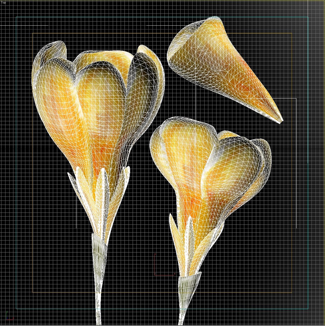 flower crocus yello 3d max https://p.turbosquid.com/ts-thumb/p3/rgXBMF/EDFjzaKa/flower.crocus.yello.w.0034/jpg/1268253812/1920x1080/fit_q87/466ee544f822b5a0b9213ac6d570a013de9f9f1f/flower.crocus.yello.w.0034.jpg