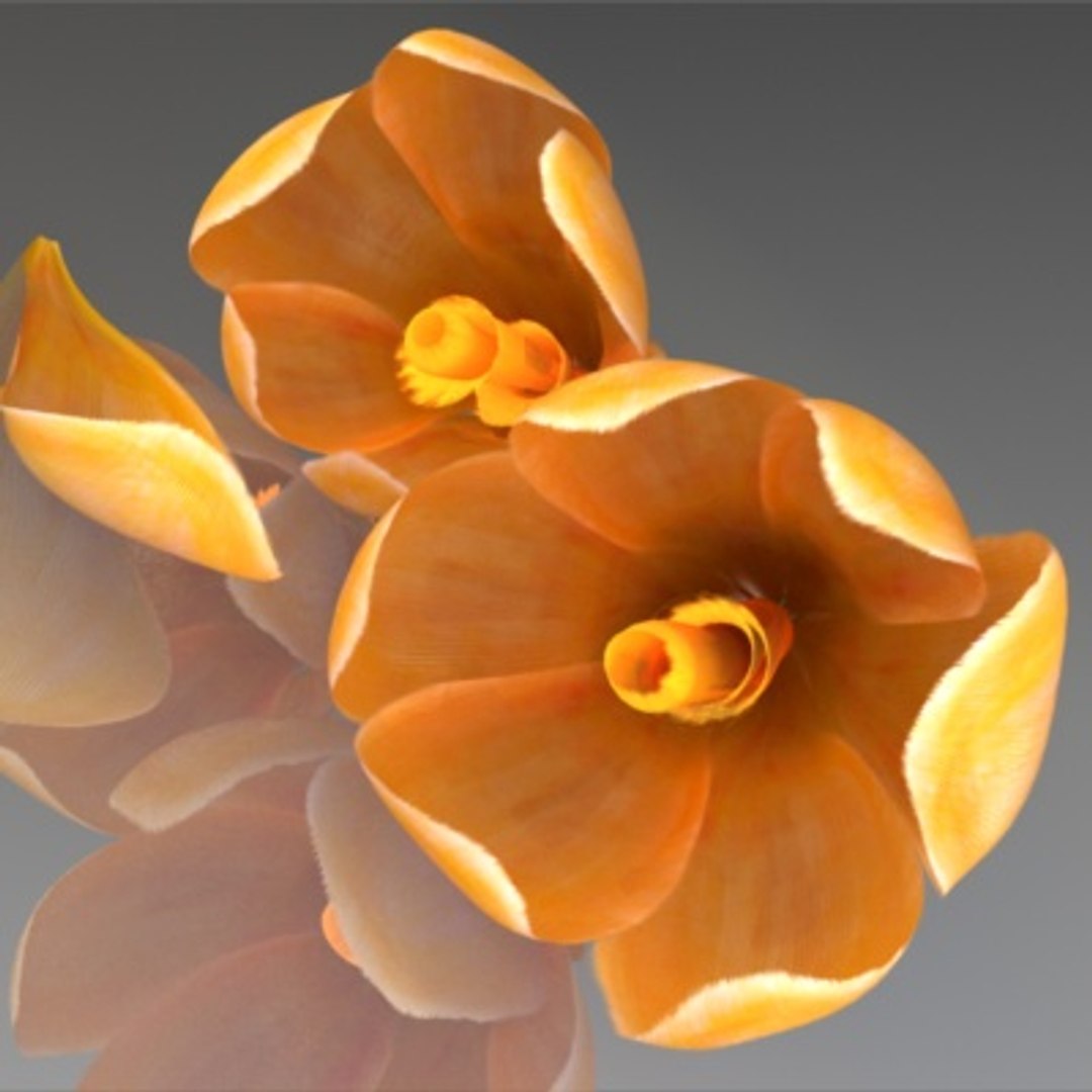 flower crocus yello 3d max https://p.turbosquid.com/ts-thumb/p3/rgXBMF/FTdU9jqO/flower.crocus.yello.0014/jpg/1268253809/1920x1080/fit_q87/8b62b4895ff54b5a2ec4e97b790fe70969c70d14/flower.crocus.yello.0014.jpg