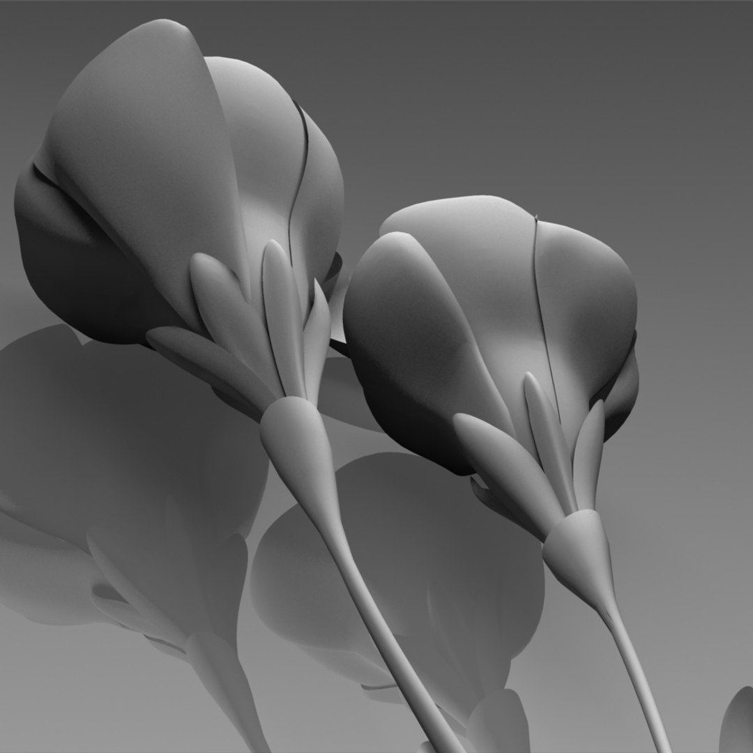 flower crocus yello 3d max https://p.turbosquid.com/ts-thumb/p3/rgXBMF/Ffb1hLv8/flower.crocus.yello.0010.clay/jpg/1268253809/1920x1080/fit_q87/5b5ae0206f2dc51707e42cca3d630225ef85e4f0/flower.crocus.yello.0010.clay.jpg