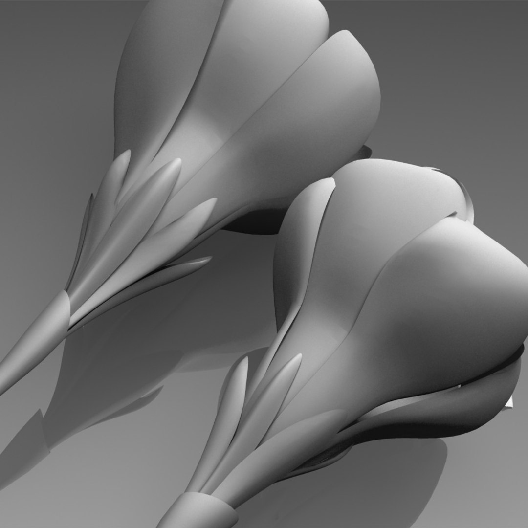 flower crocus yello 3d max https://p.turbosquid.com/ts-thumb/p3/rgXBMF/NlMuSROD/flower.crocus.yello.0013.clay/jpg/1268253809/1920x1080/fit_q87/f6d7679d1744d93f64eef4cf1c064903db023ecc/flower.crocus.yello.0013.clay.jpg