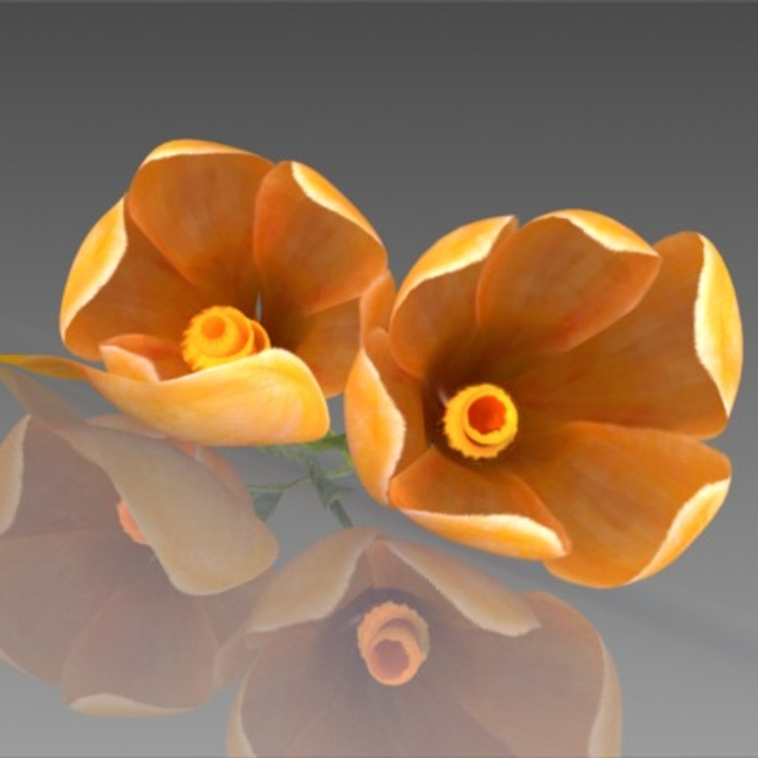 flower crocus yello 3d max https://p.turbosquid.com/ts-thumb/p3/rgXBMF/QEkkobQg/flower.crocus.yello.0023/jpg/1268253811/1920x1080/fit_q87/3b52ec08b8a519036614910993117dcadc6504b9/flower.crocus.yello.0023.jpg
