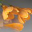 Flower.Crocus。黄釉。 FR