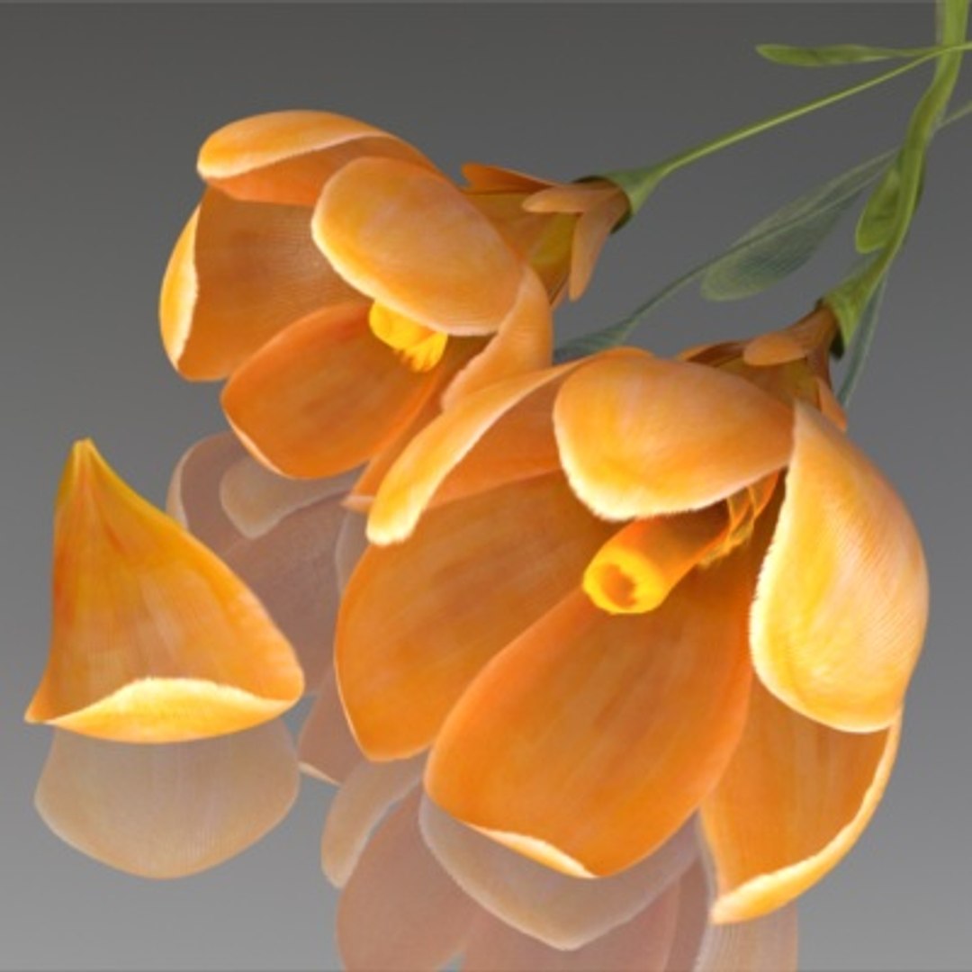 flower crocus yello 3d max https://p.turbosquid.com/ts-thumb/p3/rgXBMF/cy61S9Q2/flower.crocus.yello.0030/jpg/1268253812/1920x1080/fit_q87/48ab14af553cbc49b506ebe6c787f9fe600b9778/flower.crocus.yello.0030.jpg