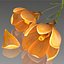 Flower.Crocus。黄釉。 FR