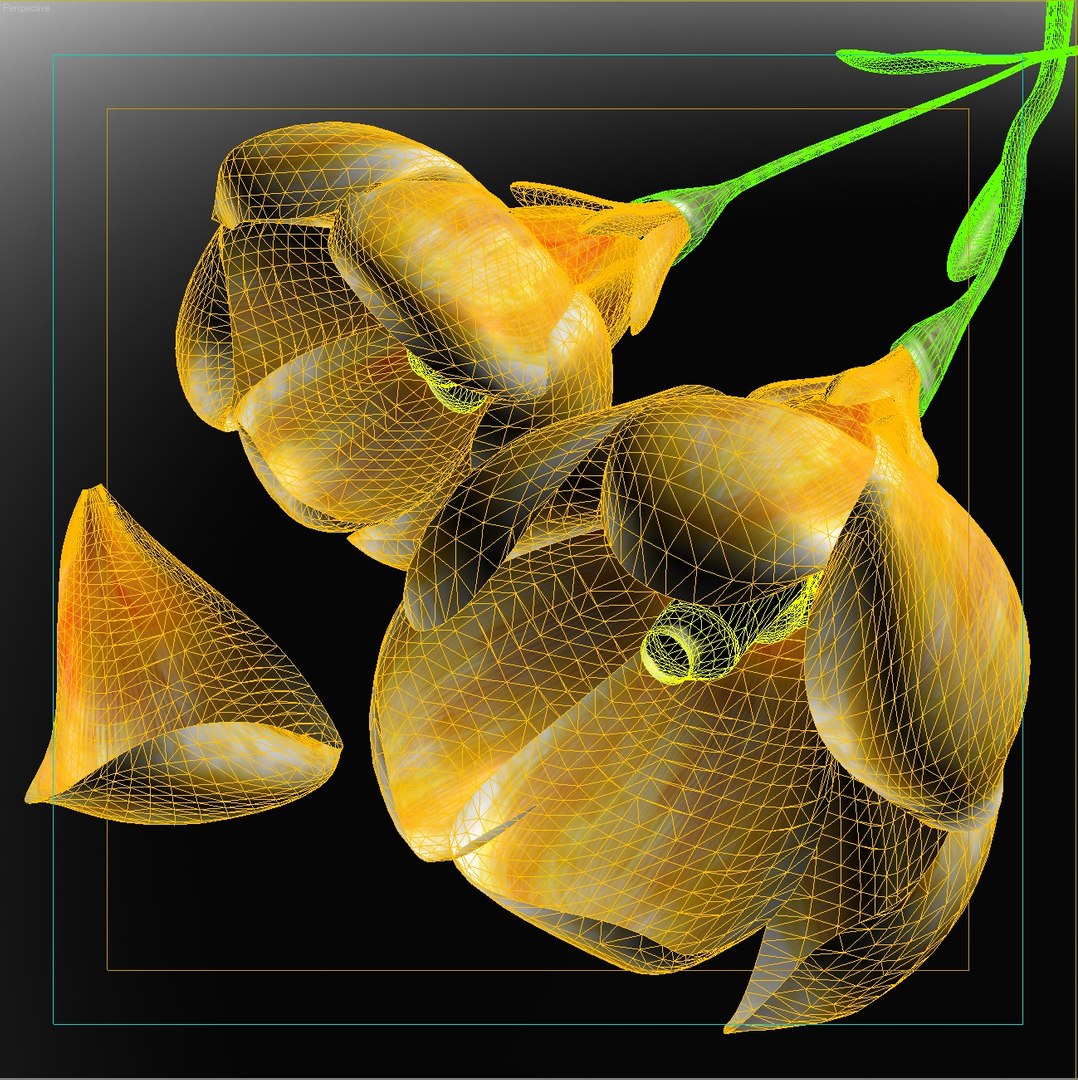 flower crocus yello 3d max https://p.turbosquid.com/ts-thumb/p3/rgXBMF/hLgXHYLU/flower.crocus.yello.w.0036/jpg/1268253813/1920x1080/fit_q87/b176d8159c229b6dcae93bb0208866f98f772c64/flower.crocus.yello.w.0036.jpg