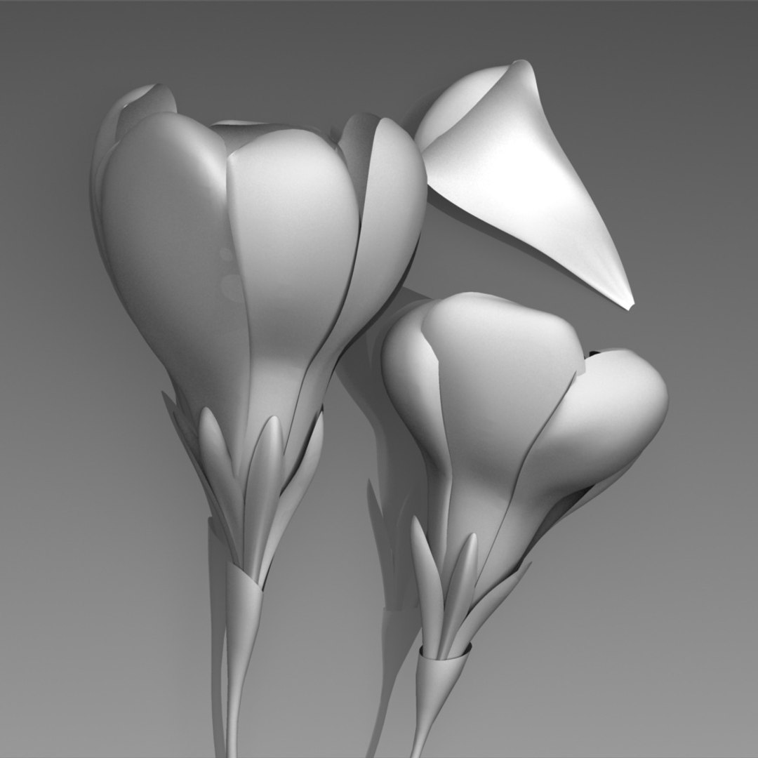 flower crocus yello 3d max https://p.turbosquid.com/ts-thumb/p3/rgXBMF/jJ2N5pLH/flower.crocus.yello.0022.clay/jpg/1268253810/1920x1080/fit_q87/20371f8c6bb7e0b81ace3e71570a446db9228be0/flower.crocus.yello.0022.clay.jpg