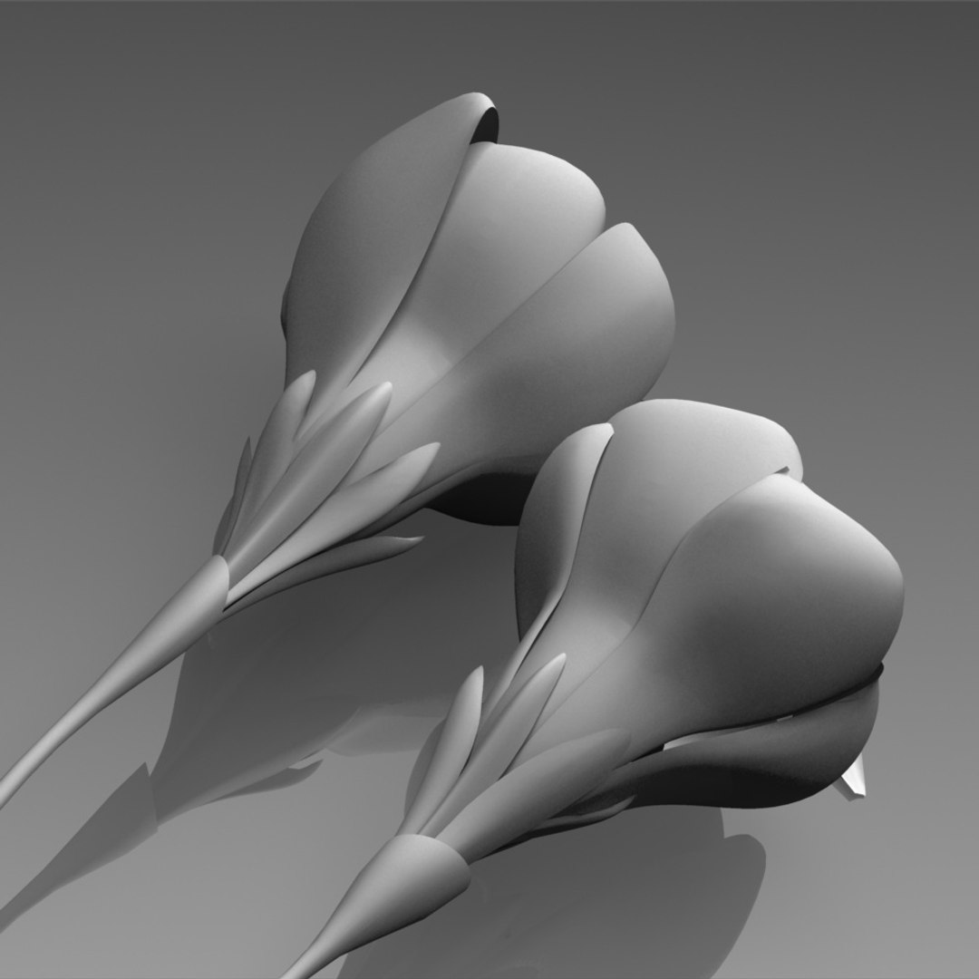 flower crocus yello 3d max https://p.turbosquid.com/ts-thumb/p3/rgXBMF/mu8foAko/flower.crocus.yello.0024.clay/jpg/1268253811/1920x1080/fit_q87/5059aca91c95d3efa521323fd4f371662774c9ad/flower.crocus.yello.0024.clay.jpg