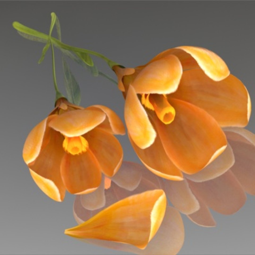 flower crocus yello 3d max https://p.turbosquid.com/ts-thumb/p3/rgXBMF/o0ms9poe/flower.crocus.yello.0001/jpg/1268253807/1920x1080/fit_q87/a0ee96eadfb0b3240597ce90bf56b0891ee6de58/flower.crocus.yello.0001.jpg