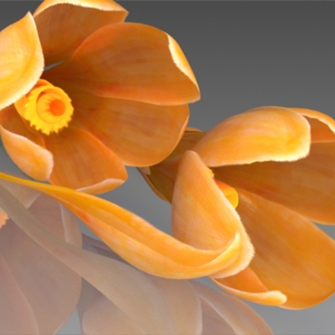 flower crocus yello 3d max https://p.turbosquid.com/ts-thumb/p3/rgXBMF/puPCM4ST/flower.crocus.yello.0019/jpg/1268253810/1920x1080/fit_q87/aafa57288ee9e0dd0e1dd9af8b29e36eb82e63bd/flower.crocus.yello.0019.jpg