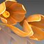 Flower.Crocus。黄釉。 FR